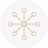icon7