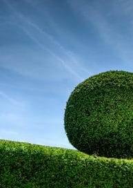 ETF providers back currency hedging for 2026